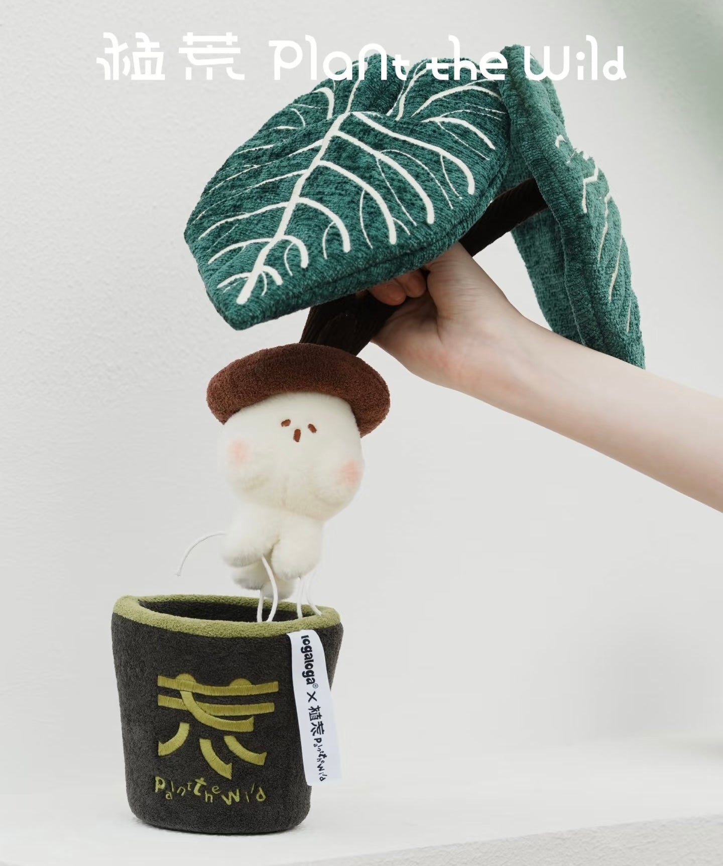 Plant The Wild Series-King’s Candle Plush Toy (Combo)