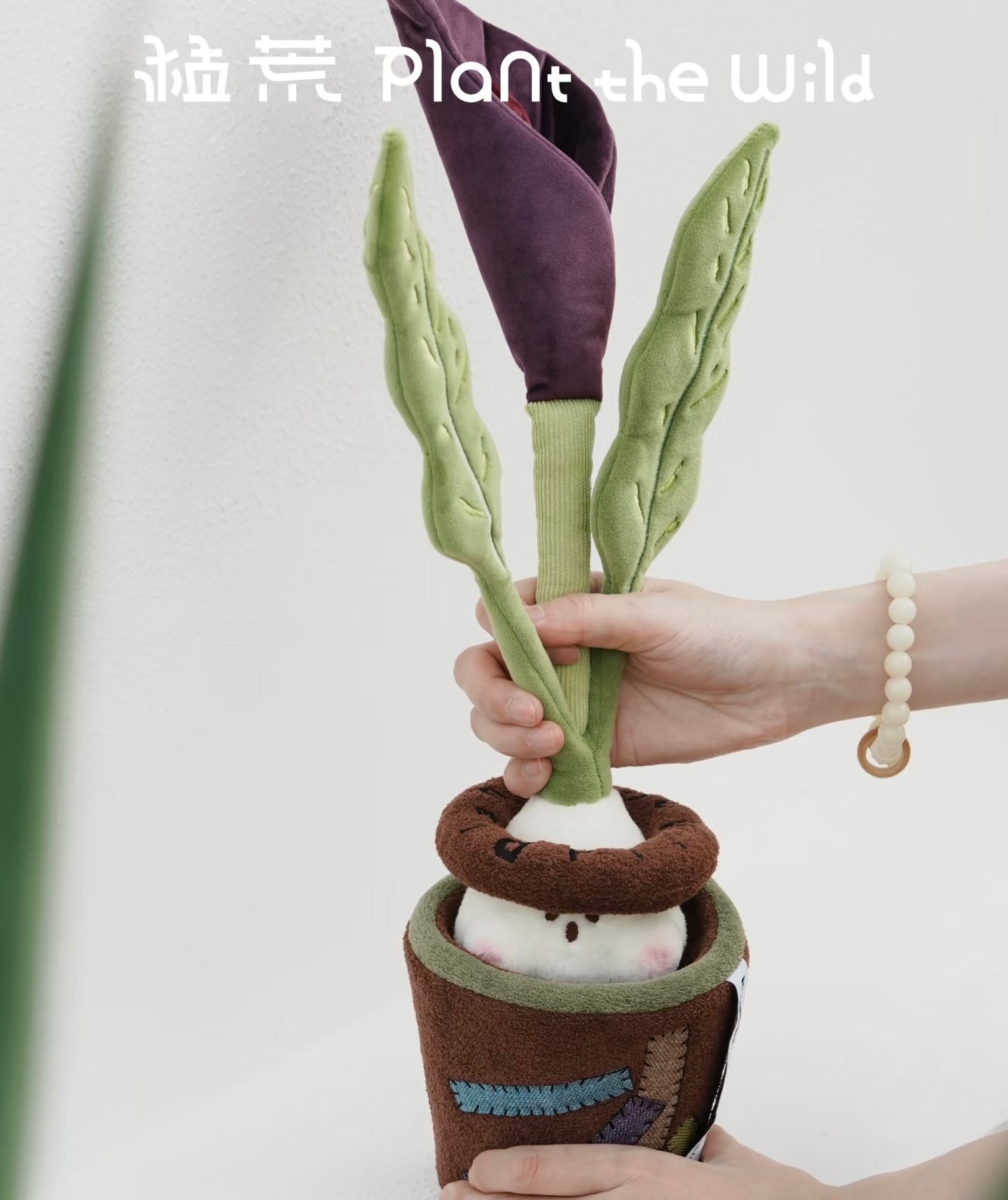 Plant The Wild Series-Night Miracle Plush Toy (Combo)
